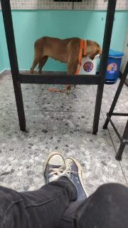 Esto no  es fácil 🫤