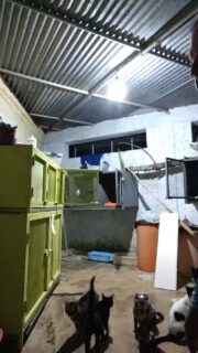 Ni JoséMaría ni Martín quisieron comer yJoseMaria sigue congestionado 🥺