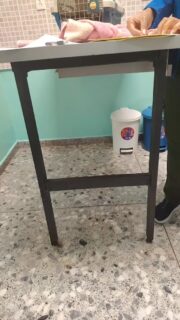 Lista primera dosis de la vacuna séxtuple y antirrábica colocadas 🙏