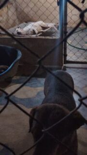 Como te ayudo Anibal? 🥺