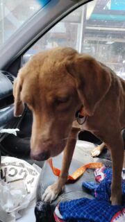 p8Estamos en el. Carro 1espwrabdo su turno, c