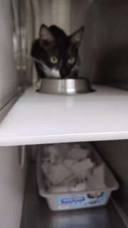 Está de alta debemos ir llevarlo tratamiento ambulatorio🙏