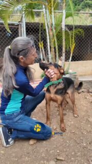 La letra de esta canción dice: "No esperes a que el cielo te dé una señal", y en Manos x Patas vivimos bajo esa premisa. El tiempo se nos va de las manos, y cada minuto cuenta cuando hay una vida en riesgo en una carretera o en el abandono. ⏳

Rescatar es nuestra forma de salvarnos de la indiferencia. Es hacer algo que valga la pena mientras estemos aquí.

Cada imagen que ves aquí es un "haz algo". No es solo alimentar, es rescatar la dignidad de los que fueron olvidados.

¿Y tú? ¿Qué estás haciendo hoy que te salve?  Apóyanos y ayúdanos a seguir cambiando destinos. 👇💛
Comenta
Comparte y
Guarda este video ayudanos a crecer y a seguir HACIENDO ALGO QUE NOS SALVE A TODOS 🙏
