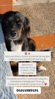 Urgente necesita donante de sangre 🙏🙏🙏