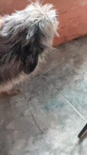 Bueno hoy no se pudo tomar la muestra lo haremos mañana 😔

Igual seguimos necesitando de sus granitos para pagar el examen 🙏🏽🙏🏽🙏🏽